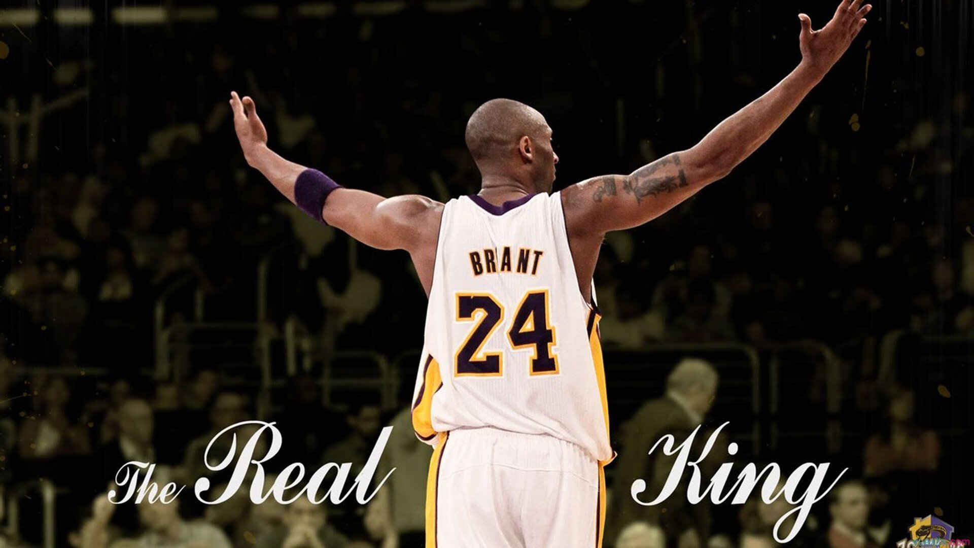 劳塔罗爆发，厄瓜多尔血拼卡塔尔，南美足球的生存之战与荣耀之光